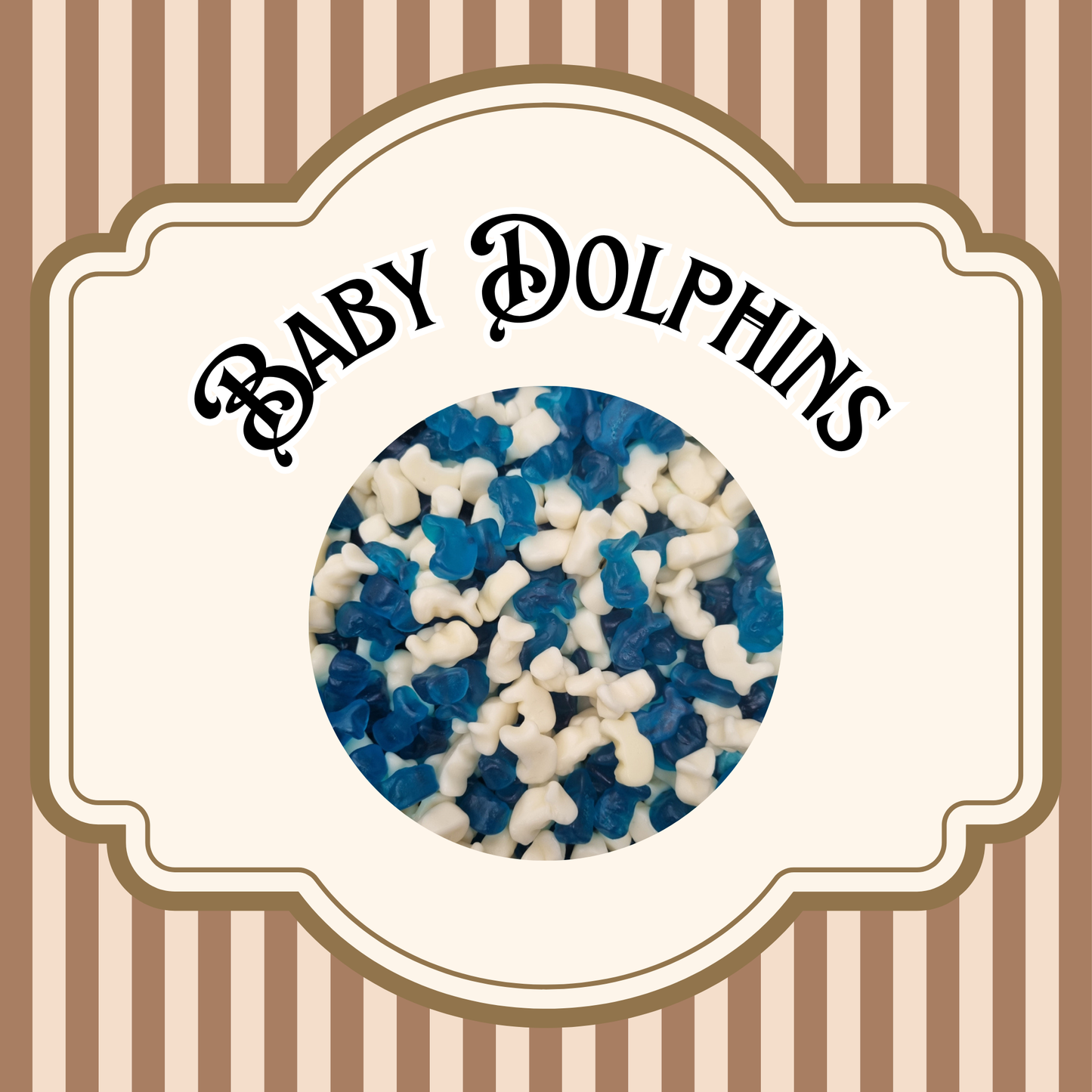 Baby Dolphins