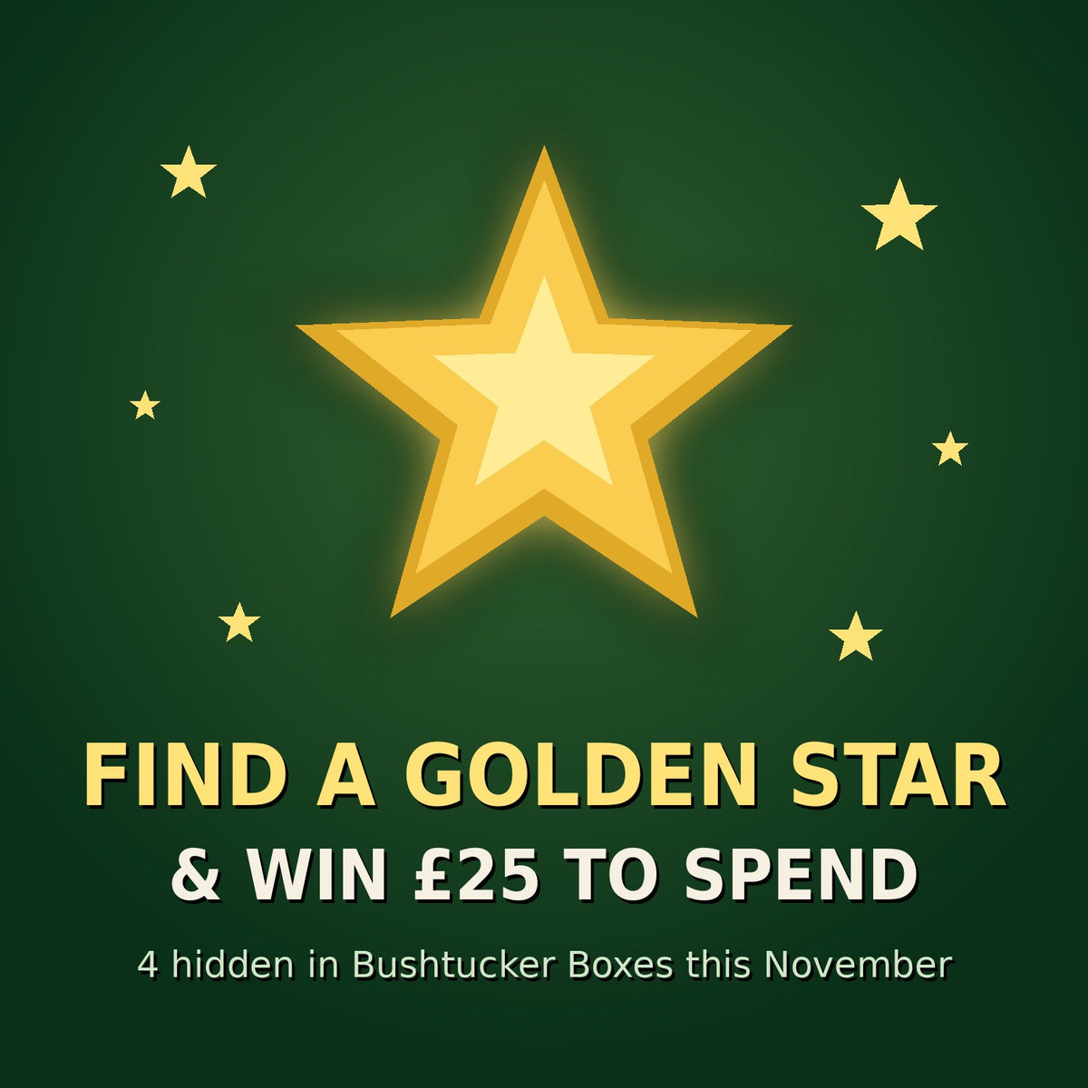 Bushtucker Box